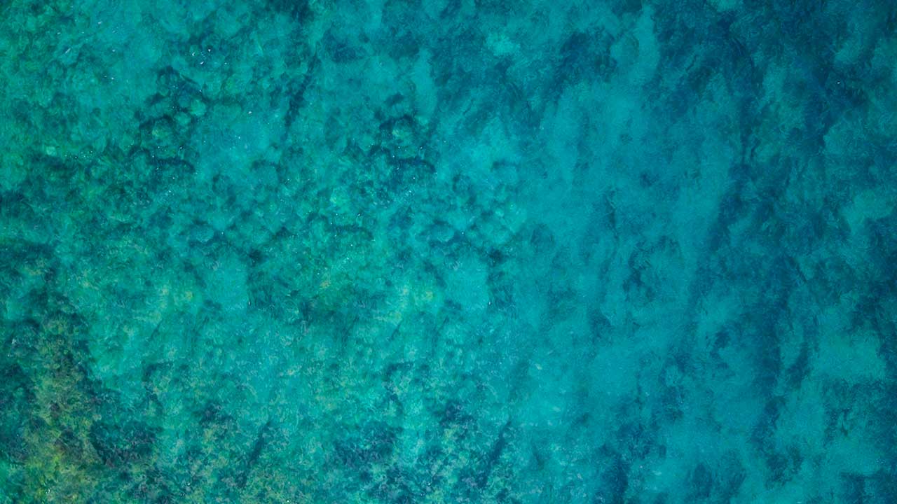 背景画像
